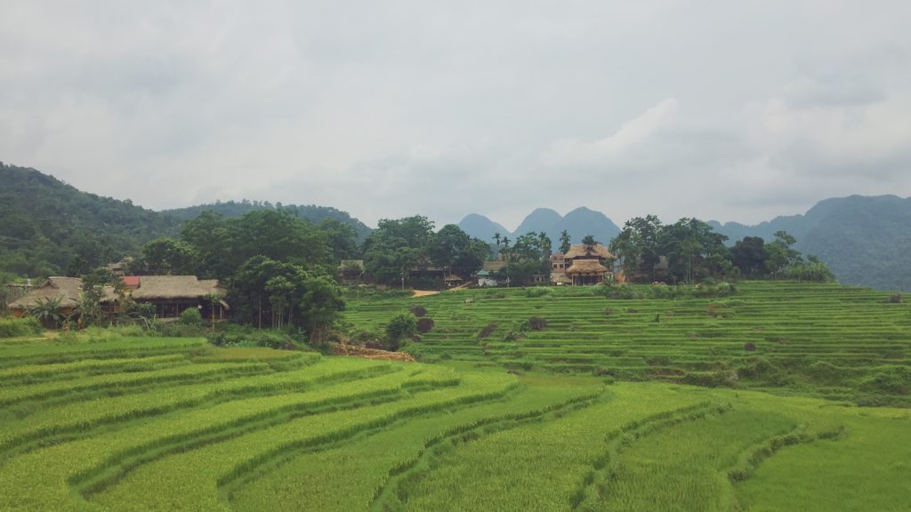 Mai Chau