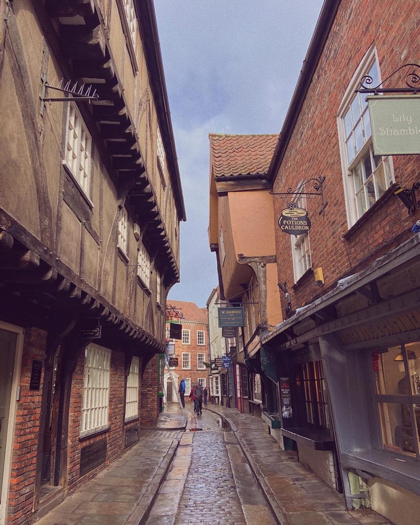 the shambles york day trip