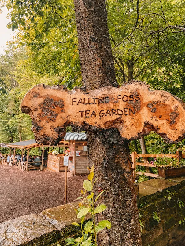 falling foss tea garden sign things to do near robin hoods bay